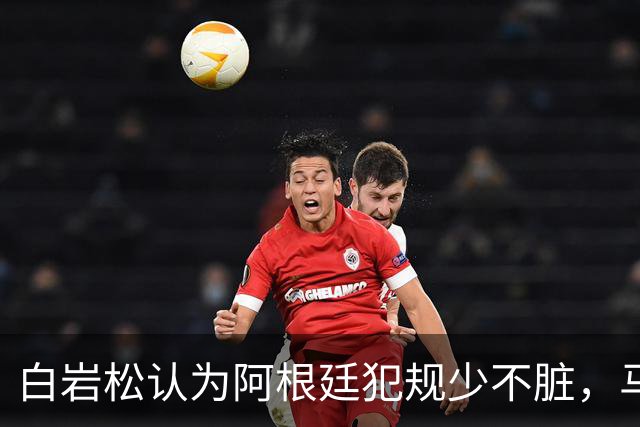 白岩松认为阿根廷犯规少不脏，马宁：我们更多是看犯规性质
