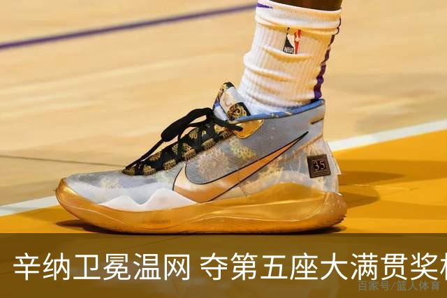 辛纳卫冕温网 夺第五座大满贯奖杯